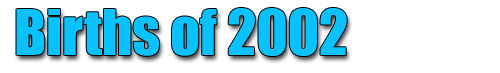 Births of 2002